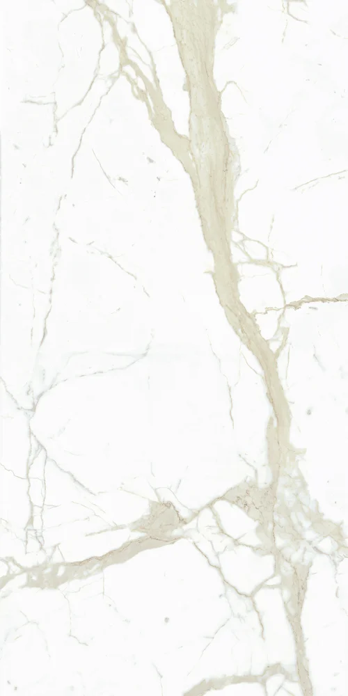 White Calacatta